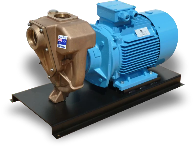 GMP Corrosion Resistant Electric Drive Transfer Pumps