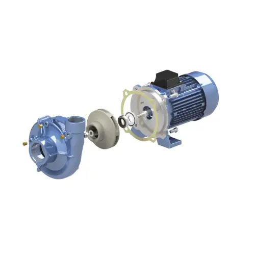 Peripheral eletric Pumps